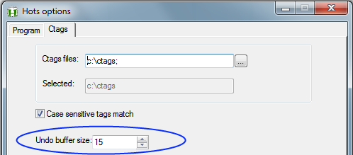 Undo buffer size.